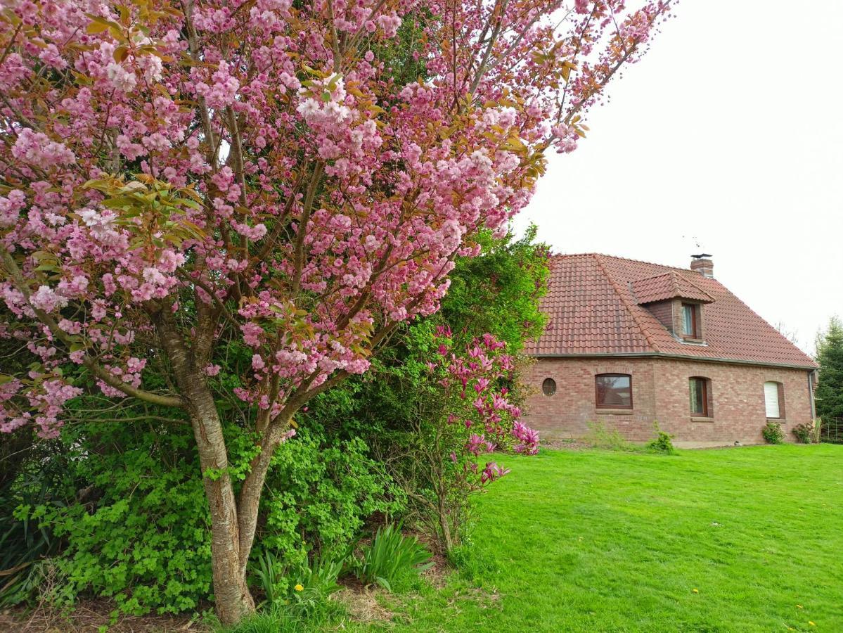 Les Chambres Du Vert Galant "La Campagne Qui Murmure" Verlinghem ภายนอก รูปภาพ