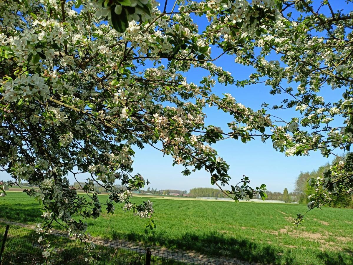 Les Chambres Du Vert Galant "La Campagne Qui Murmure" Verlinghem ภายนอก รูปภาพ